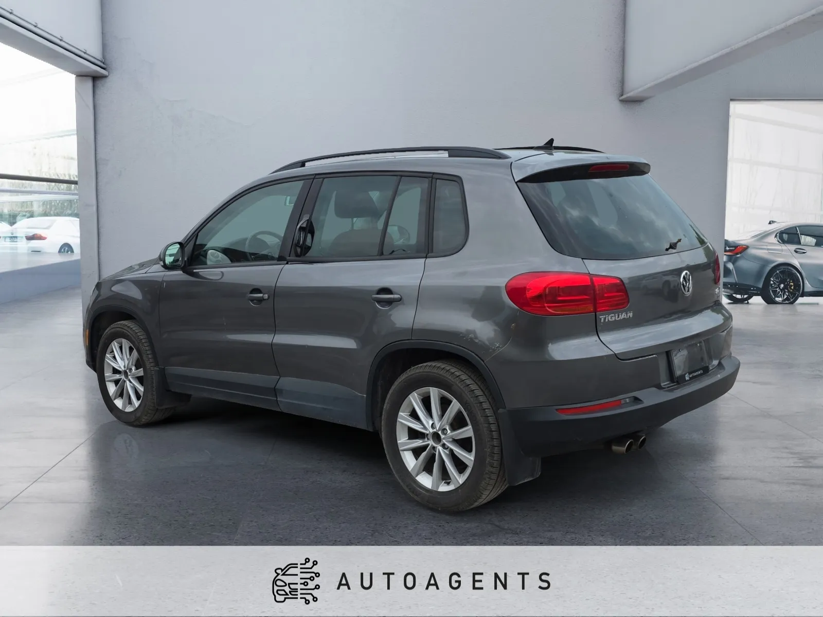 2013 Volkswagen Tiguan S