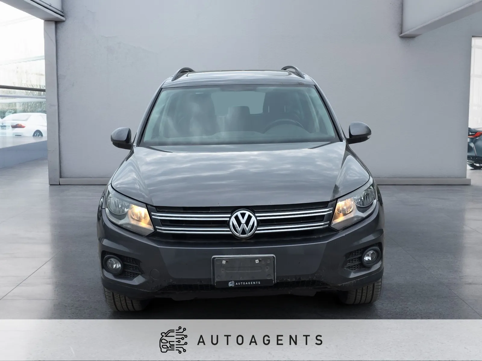 2013 Volkswagen Tiguan S